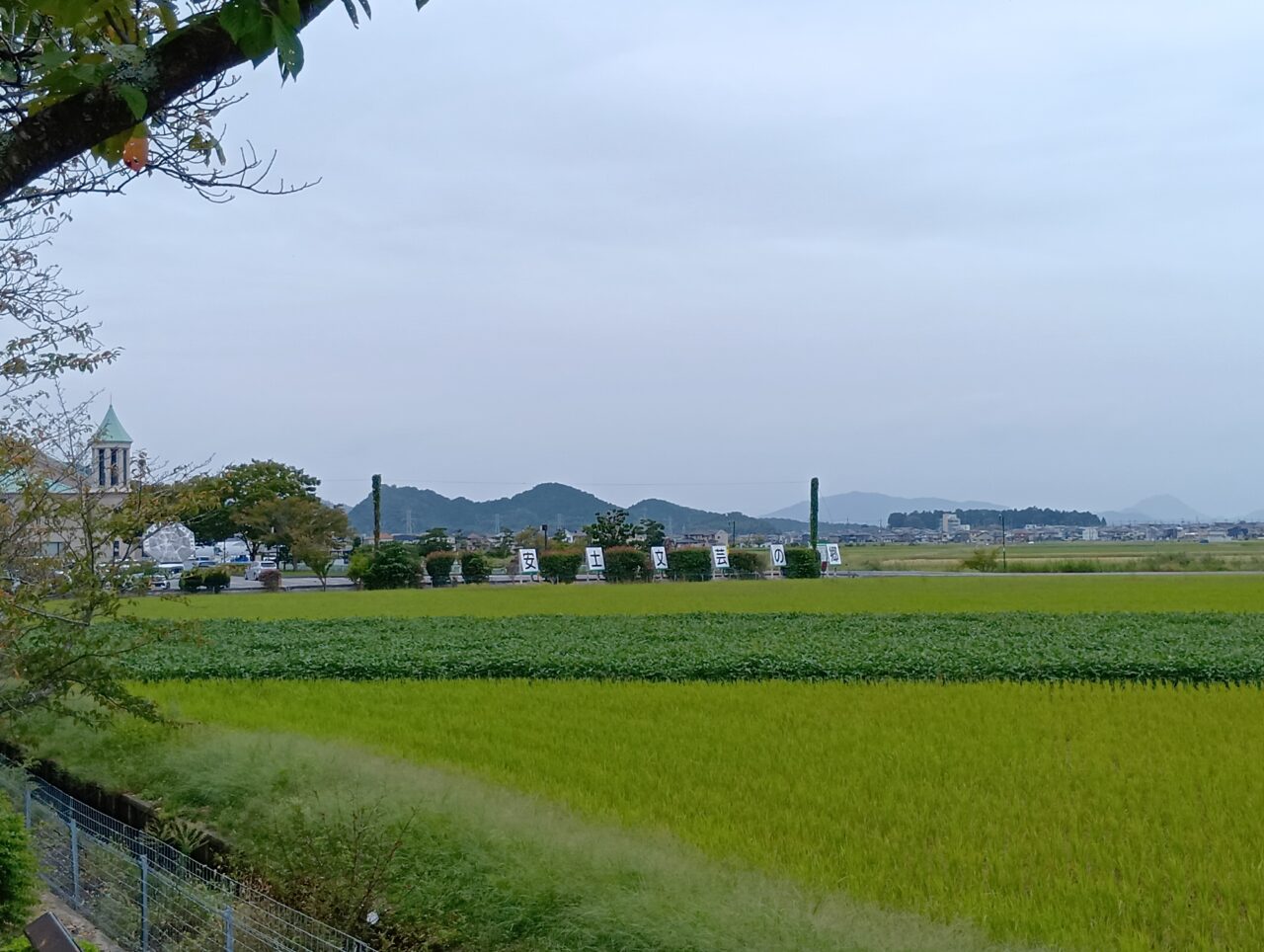 文芸