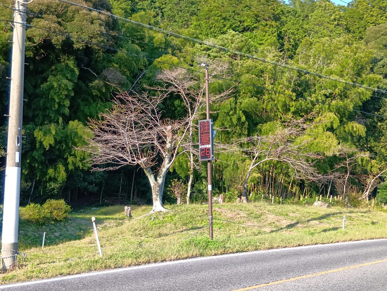 のぶまる9